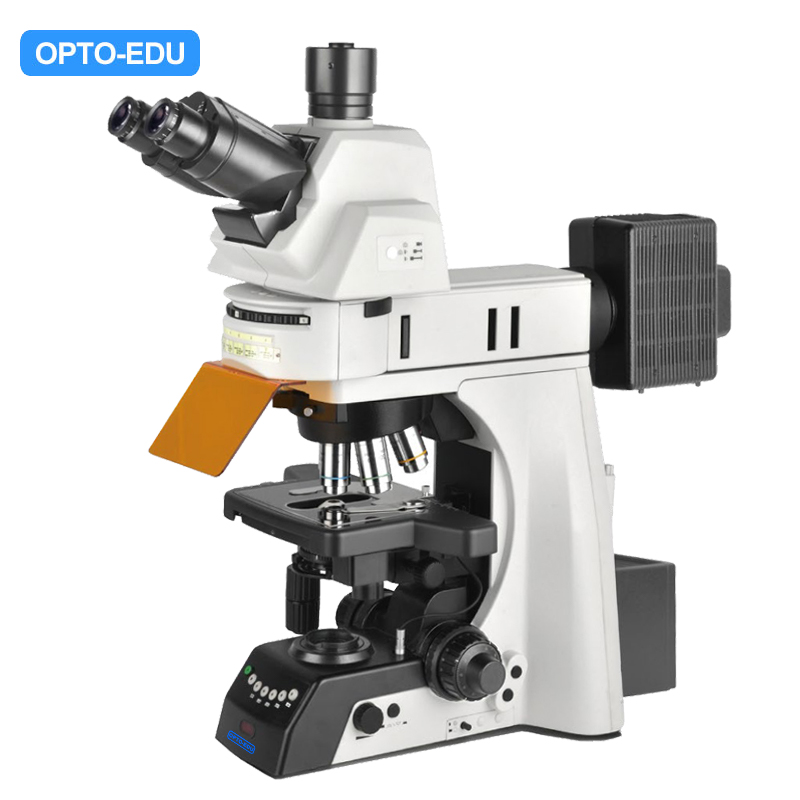 A16.1093-H Upright Fluorescent Microscope, Semi-Auto, 12V100W Halogen