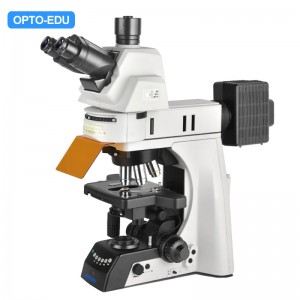 A16.1093-L Upright Fluorescent Microscope, Semi-Auto, 3W LED