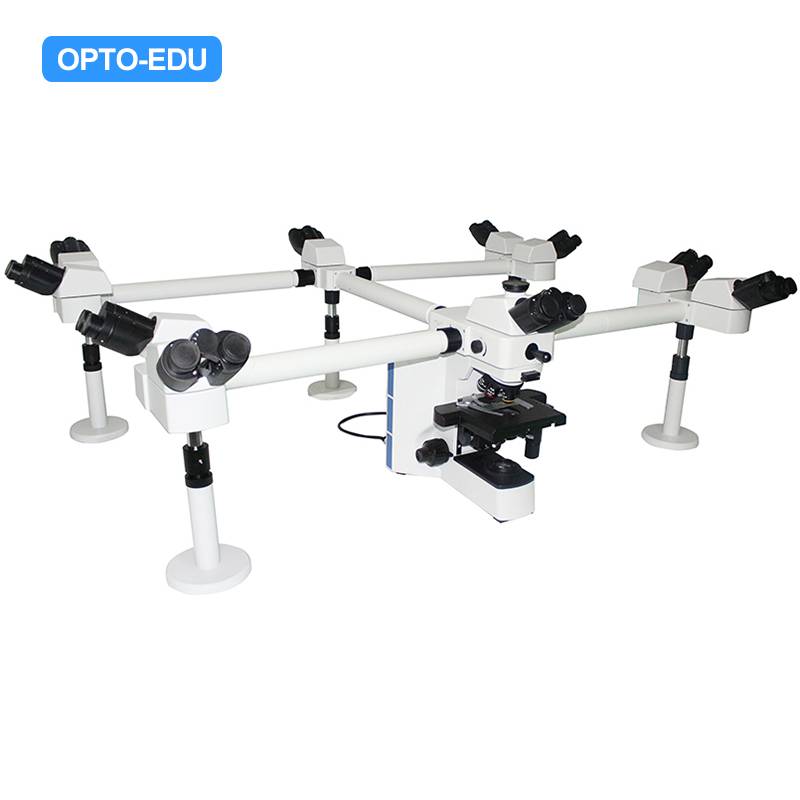 A17.0940 Multi-Viewing Microscope, 10 People