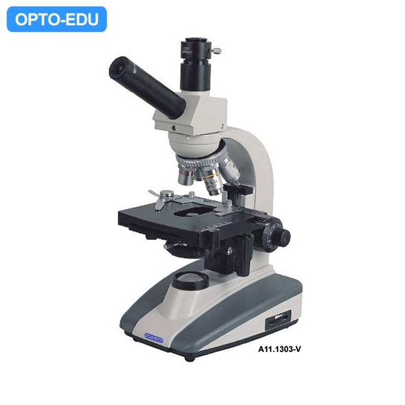A11.1303-V Student Biological Microscope, V Dual Viewing