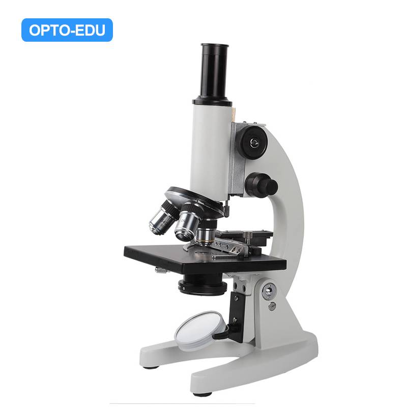 A11.1508-06 Student Biological Microscope, Vertical Monocular Head