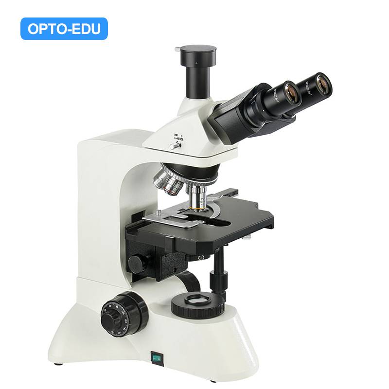 A12.0204-A Laboratory Biological Microscope, Quadruple Nosepiece