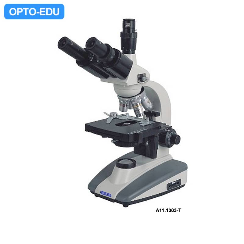 A11.1303-T Student Biological Microscope, Trinocular