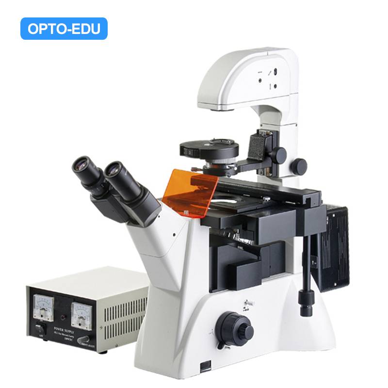 A16.0206 Inverted Fluoresent Microscope, Phase Contrast