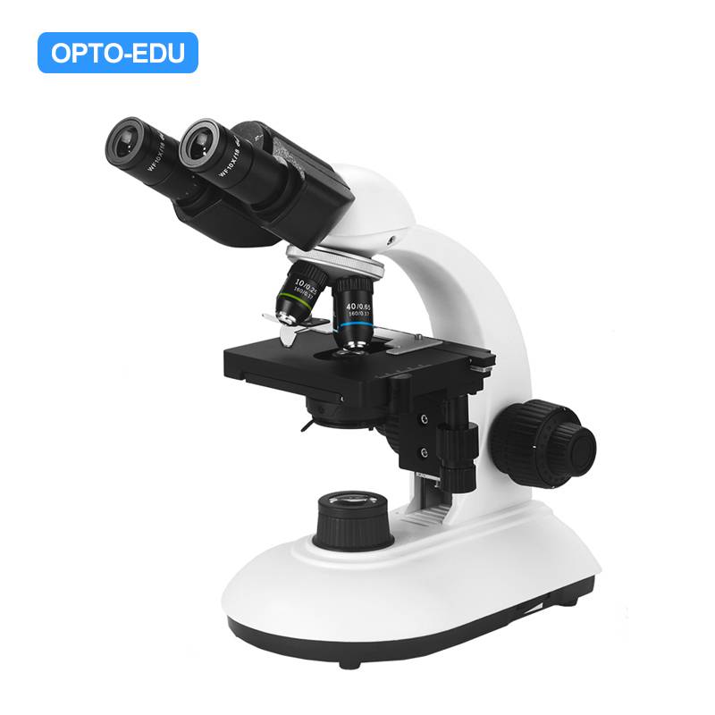 A11.2601-B Student Biological Microscope, Binocular, Achromatic