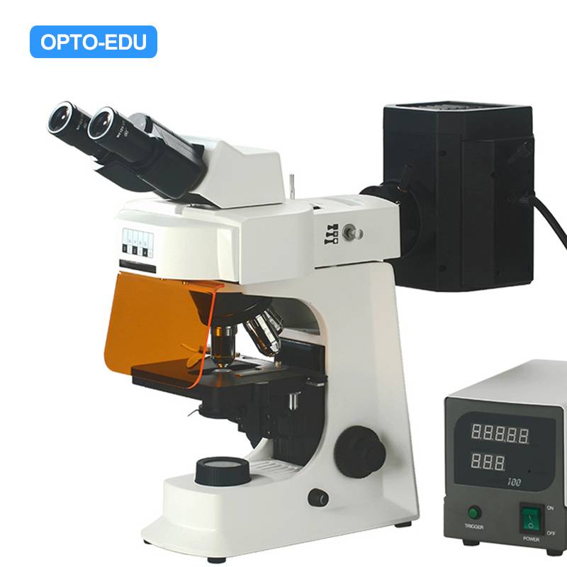 A16.2601-B4 Fluorescent Microscope, Binocular, B,G,U,UV