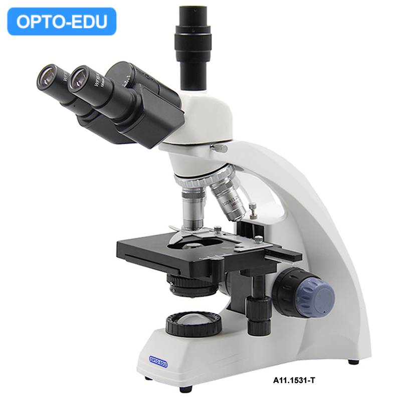 A11.1531-T Student Biological Microscope, Trinocular Head