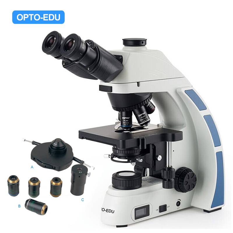 A19.0911 Phase Contrast Microscope