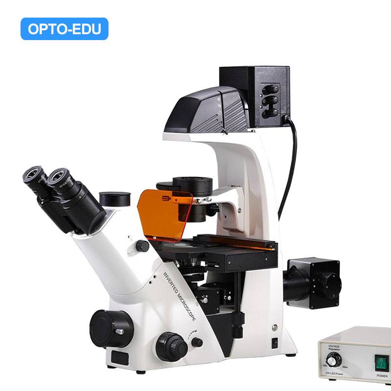 A16.2615-L2 Inverted LED Fluorescent Microscope, B,G