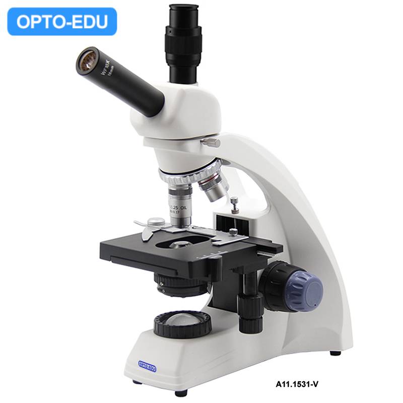 A11.1531-V Student Biological Microscope, Dual-View Head