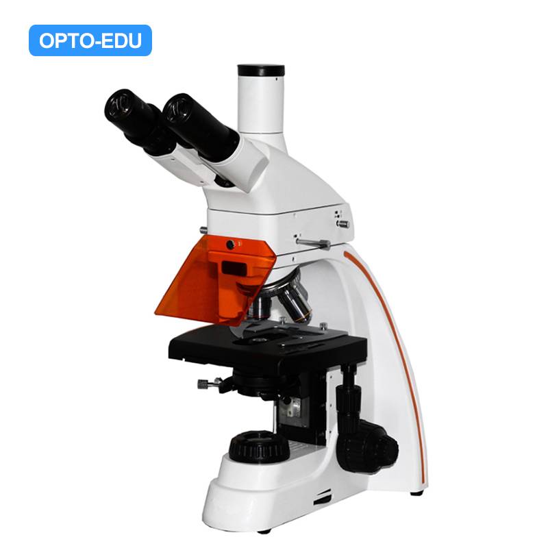 A16.0208-4 LED Flourescent Microscope, B+G/U+UV