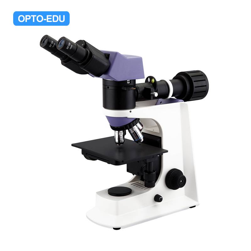 A13.2605-A Metallurgical Microscope, Reflect Light, Binocular