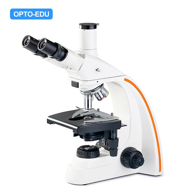 A12.0205 Laboratory Biological Microscope