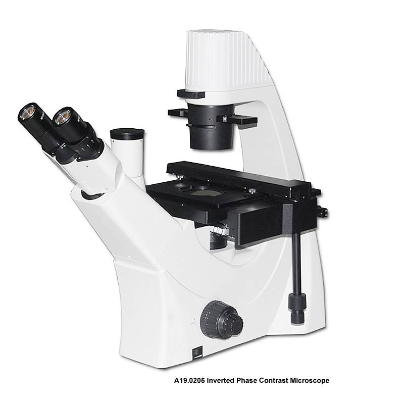 OPTO-EDU A19.0205 100x-400x Trinocular Inverted Phase Contrast Microscope