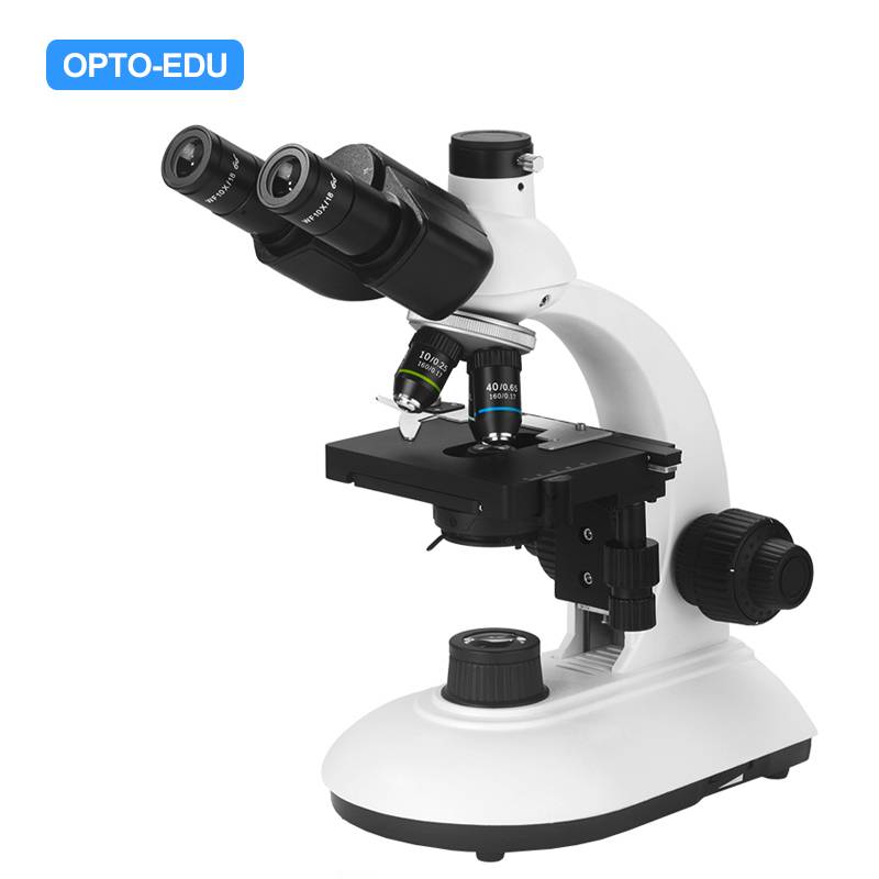 A11.2601-TP Student Biological Microscope, Binocular, Plan