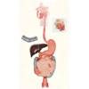 Human Digestive System 2 parts