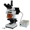 Fluorescnece Microscope