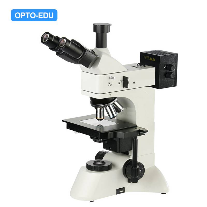 A13.0211-BD Upright Metallurgical Microscope, Transmit & Reflect, BF/DF, Polarizing
