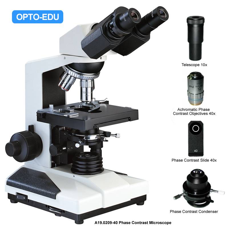 A19.0209-40 Phase Contrast Microscope