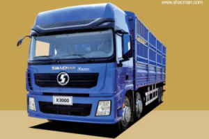 Hot sale Bobtail Fuel Truck - Shacman Lorry Truck-X3000 – Oriental Vehicles