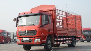 Gaariga Shacman Lorry-L3000