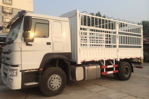 15 टन लोडिङ कार्गो ट्रक - 4×2 HOWO कार्गो ट्रक