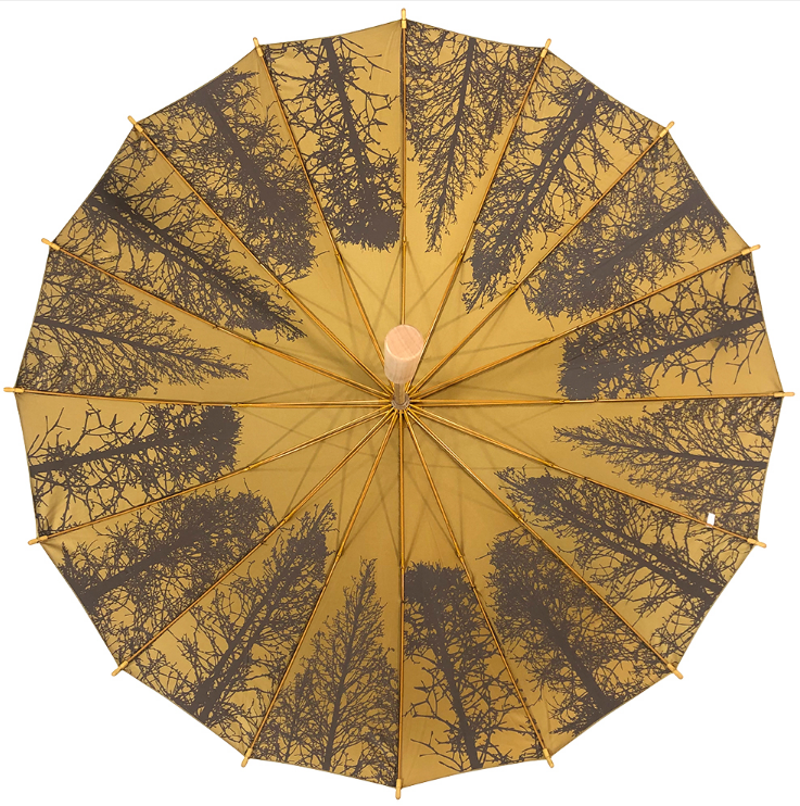 Stay Dry, Stay Stylish: The Fashionable World of Umbrellas 2