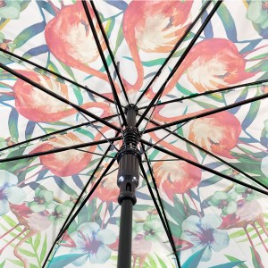 Umbrella Boireannaich Ovida Plastaig Umbrella uisge soilleir PVC soilleir Lady Transparent Lady Fashion Resistant rain Custom umbrella