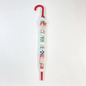 Ovida စိတ်ကြိုက်ဓာတ်ပုံဒီဇိုင်း ကိုယ်ပိုင်ဓာတ်ပုံ ကြည်လင်သော ဖောက်ထွင်းမြင်ရသော Bubble Plastic စိတ်ကြိုက်ပြုလုပ်ထားသော ထီးများ