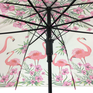 Le parapluie en plastique de PVC de parapluie de bulle d'Ovida avec le logo adapté aux besoins du client imprime clairement le parapluie