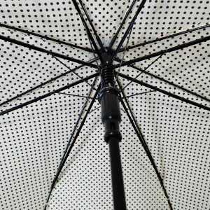 Ovida Women Umbrella With Flower Piping Edge Luxury Ladies Umbrella