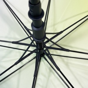 Paraguas recto Ovida, tela doble colorida con logotipo personalizado, paraguas de impresión adecuado para 2 personas