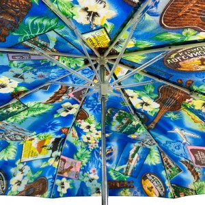 OVIDA Windproof Lub Tebchaws muaj yeeb yuj xwm Scenery Windproof Tsis Siv Neeg Qhib Folding Umbrella
