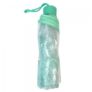 مظلات Ovida الشفافة الشفافة انظر مظلة من البلاستيك PVC مظلة ساكورا مظلات قابلة للطي