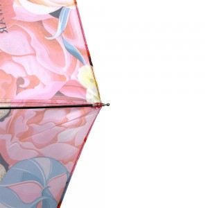 Ovida 23 инчен чадор 10 ребра, прилагоден чадор со цветен шаблон Највисок луксузен чадор