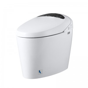 Smart Toilet, Bidet Toilet, One Piece Toilet with Auto Open/Close Lid, Auto Dual Flush, Heat Seat, Warm Water and Dry.
