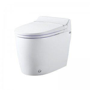 Good flush function smart one-piece toilet,instant and constant temperature smart toilet
