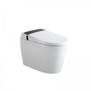 One-Piece Dual flush, integrated bidet and toilet
