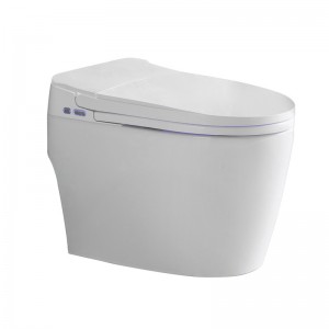 Automatic toilet with Feet Sensor, Automatic flush function, Heated Seat, Warm Water and Dry