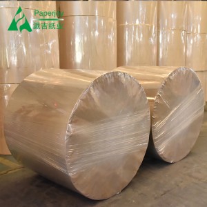 Factory Wholesale Disposable Cup Stock Single/Double PE Coated Paper Cup Paper Roll Manufacturer