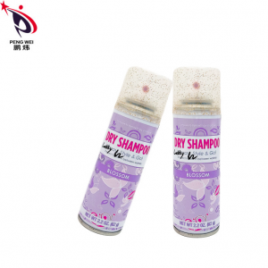 Unisex Washable Fluffy Volumizing Hair Spray, Anti Itching Fast Blow Dry Spray