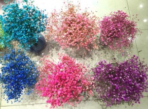 350 ml giftfri flerfärgad blomfluorescensspray för torkade och färska blommor