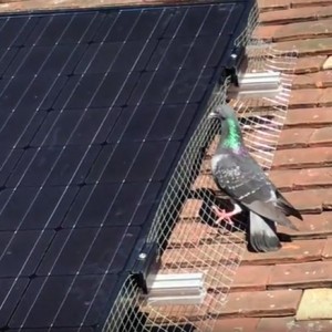 Solar Skirt Bird Mesh