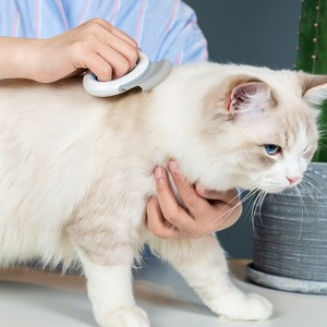 Multi Faarf Deshedding Tool Massage Kamm Pet Hoer Remover Cat Botzen Grooming Pinsel