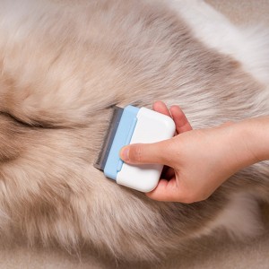Բազմիցս օգտագործվող շարժական ճամփորդական գրպանի ընտանի կենդանիների խճճվածության հեռացման խոզանակ Pussy Cat Groomer Bristle Pet Comb