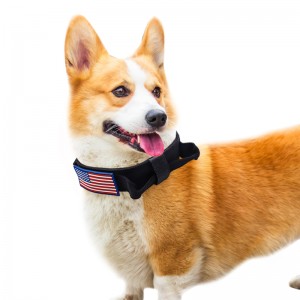 Mea Hoʻolālā ʻOEM Kūʻai Kūʻai ʻo Nylon Dog Collar Pet Adjustable Nylon Small Animal Dog Collar