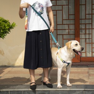 Factory Direct Pet Supplier Lo ri Eco Friendly Cat Dog Pet Leash