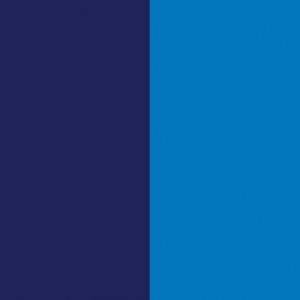 Pigment Blue 15:4 / CAS 147-14-8
