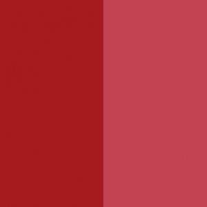 Pigment Red 144 / CAS 5280-78-4