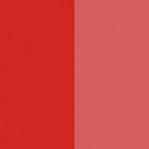 Pigment Rouge 48:1 / CAS 7585-41-3